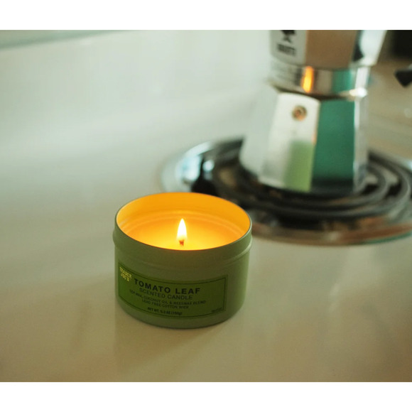 10-PACK TOMATO LEAF SCENTED CANDLE FROM TRADER JOES / NEW IN BOX - Picture 3 of 4